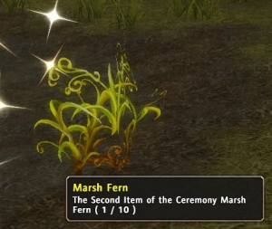 Marsh Fern